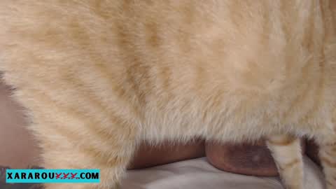       S A R A      100K followers online show from January 13, 2025, 11:27 pm