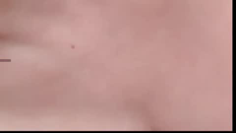 xinbao799322 online show from November 14, 2025, 2:05 pm