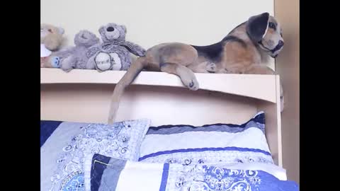 Snapshot of xindianillusion44 chatting on February 6, 2026, 11:24 am Miss Ria online show from February 6, 2026, 11:24 am