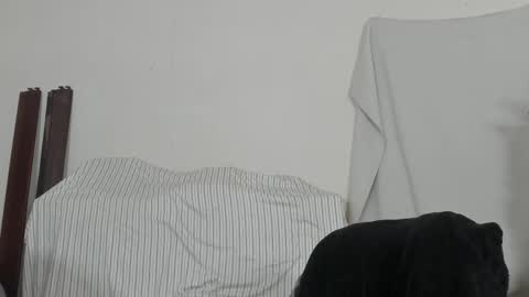 Snapshot of xmetalstudx chatting on February 9, 2026, 8:13 pm MetalstudMaster online show from February 9, 2026, 8:13 pm