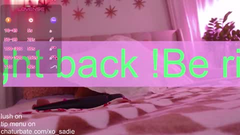 Xo Sadie online show from February 2, 2026, 6:01 am