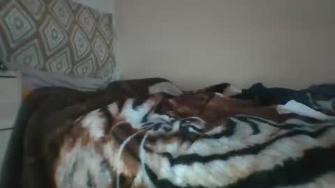 Snapshot of xorner1 chatting on December 7, 2024, 12:13 pm Horny hotty online show from December 7, 2024, 12:13 pm