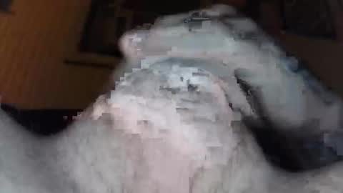 Snapshot of xoxossdfm8894982459 chatting on December 20, 2025, 3:46 am xoxossdfm8894982459 online show from December 20, 2025, 3:46 am