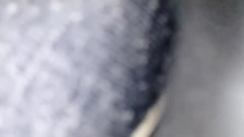 xploid1982 online show from December 17, 2025, 1:33 am