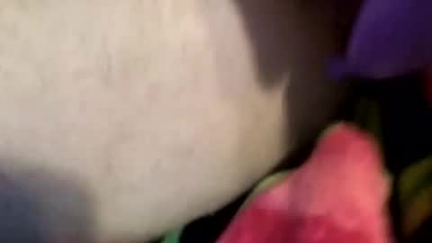 XxXCoupleOrgasmicXxX online show from April 4, 2026, 7:00 pm