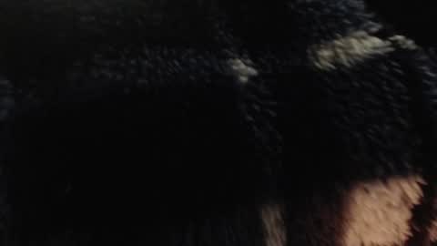 Snapshot of xxxking89 chatting on December 14, 2024, 5:36 pm xxxking89 online show from December 14, 2024, 5:36 pm