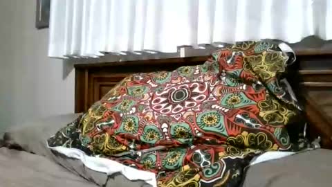 xxxloverloganxxx online show from February 5, 2026, 12:32 pm