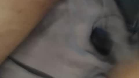 yallayalla1806 online show from November 18, 2025, 2:17 am