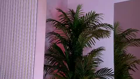 Snapshot of yasminaluna chatting on June 15, 2026, 3:20 am Yasmina online show from June 15, 2026, 3:20 am