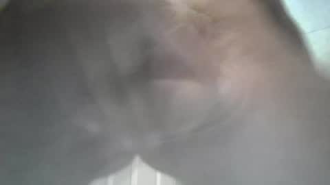 yaycarr9 online show from June 12, 2026, 10:52 pm