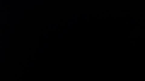 SALMAHOTCAM online show from February 8, 2026, 12:41 pm