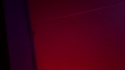 Ella Ts online show from December 1, 2025, 10:42 am