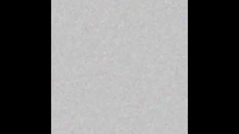 .     y e l l o w s n a k e s       . online show from November 16, 2025, 6:41 am