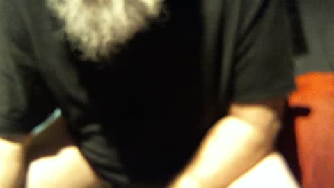 .     y e l l o w s n a k e s       . online show from November 18, 2025, 10:31 am