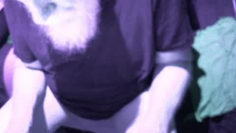 .     y e l l o w s n a k e s       . online show from November 26, 2025, 1:34 pm