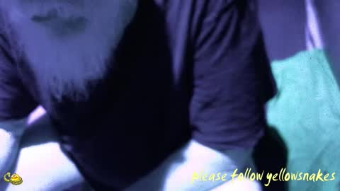 .     y e l l o w s n a k e s       . online show from December 18, 2025, 1:28 pm