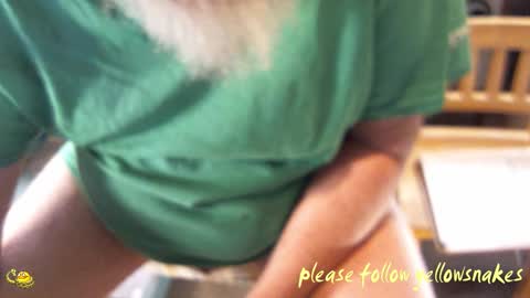 .     y e l l o w s n a k e s       . online show from March 19, 2026, 12:03 am