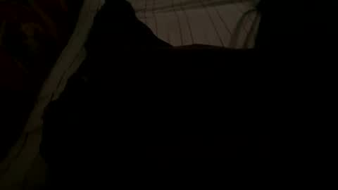 Snapshot of ynno31 chatting on November 18, 2025, 5:23 am Giannis online show from November 18, 2025, 5:23 am