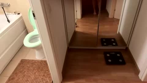 yonise909383 online show from February 3, 2025, 12:36 am