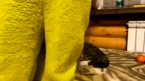 Fansly  online show from December 31, 2024, 9:50 pm