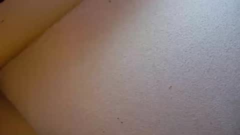 Sophiestar online show from October 21, 2025, 7:14 pm