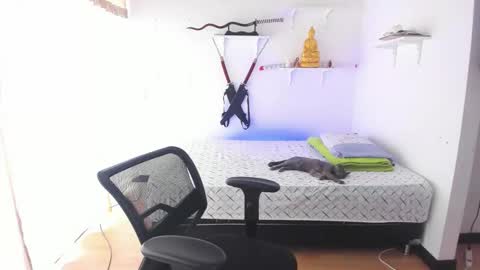 Tao online show from February 26, 2026, 3:33 pm