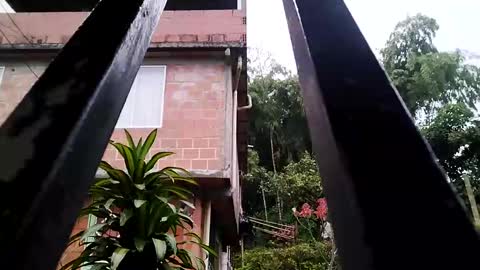 yourgodzeus online show from March 3, 2025, 11:33 am