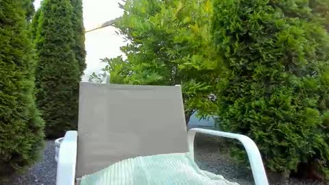 Jacky online show from June 11, 2026, 4:32 am