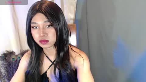 Stella online show from May 1, 2026, 3:49 pm