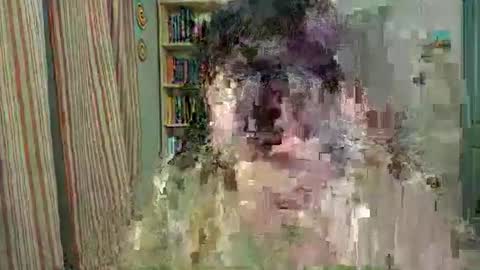 Rose Noire online show from April 10, 2026, 12:49 am