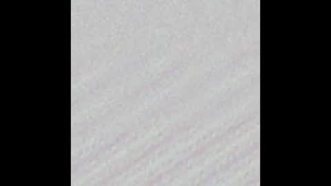 Snapshot of yungbbcbro chatting on February 16, 2025, 4:42 am Octavian online show from February 16, 2025, 4:42 am