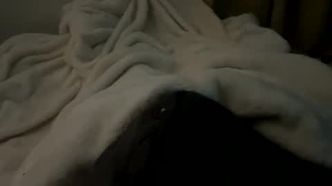 yunghunghornymale online show from November 29, 2025, 8:39 am