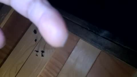 Snapshot of yungnhandsumdee chatting on October 13, 2025, 5:51 am yungnhandsumdee online show from October 13, 2025, 5:51 am