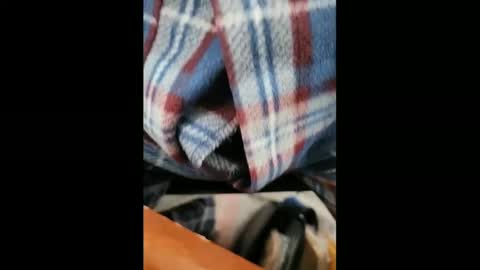 Snapshot of yuppers1234 chatting on February 5, 2025, 6:37 pm yuppers1234 online show from February 5, 2025, 6:37 pm