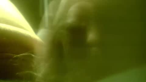 zaboski4 online show from February 25, 2026, 7:40 am