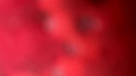 zachslime472 online show from March 13, 2026, 2:45 pm