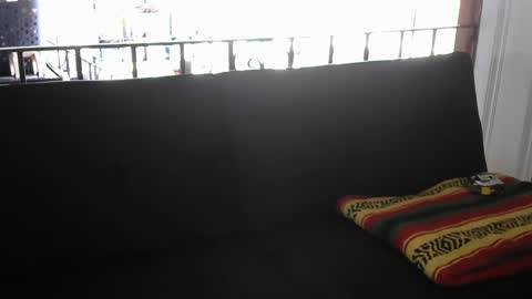 Snapshot of zaddykendoll chatting on September 10, 2025, 2:17 pm Aiden online show from September 10, 2025, 2:17 pm