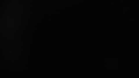 KAAL online show from December 11, 2024, 12:12 pm