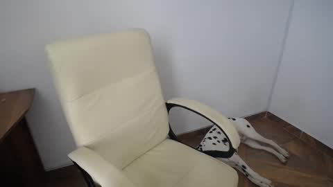 KAAL online show from December 12, 2024, 4:21 pm