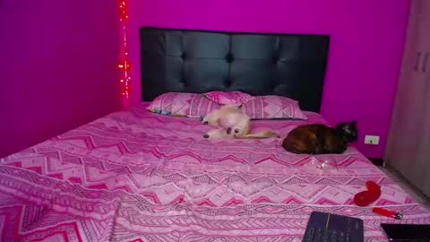 ZARA ANYELINA online show from December 14, 2024, 12:33 pm