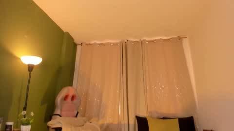 Zara . online show from February 6, 2026, 12:08 pm