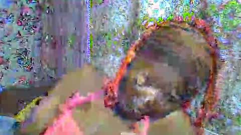 zarinamarlin online show from April 3, 2026, 6:00 am