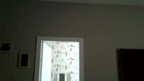 Snapshot of zarinaswift chatting on June 17, 2026, 9:45 am Zarina Swift online show from June 17, 2026, 9:45 am