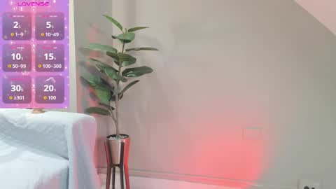 Zary online show from November 26, 2025, 12:17 pm