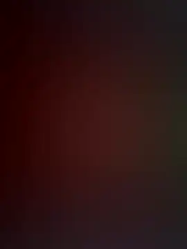 EvaMoet online show from November 1, 2025, 9:33 am