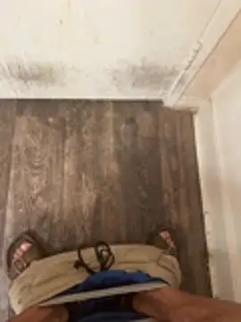 ghostx457 2 online show from March 15, 2026, 12:11 pm