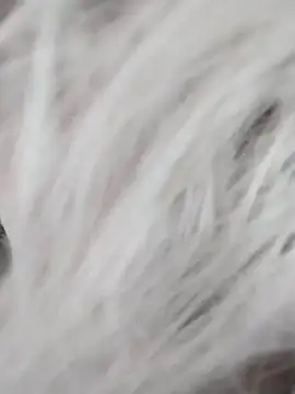 Snapshot of Linda_Gregory chatting on December 9, 2024, 7:39 am Linda Gregory online show from December 9, 2024, 7:39 am