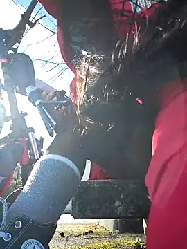 bellapaty online show from February 3, 2026, 11:04 am