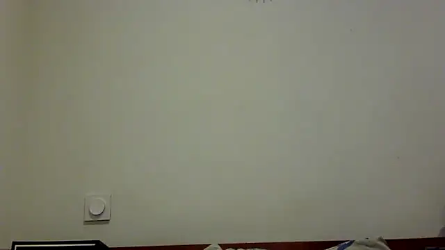 feline27 online show from October 28, 2025, 9:17 pm