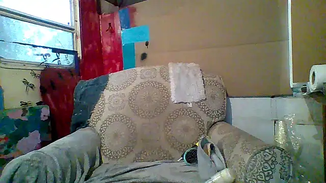 Snapshot of spundarella420 chatting on March 10, 2025, 1:21 pm spundarella420 online show from March 10, 2025, 1:21 pm